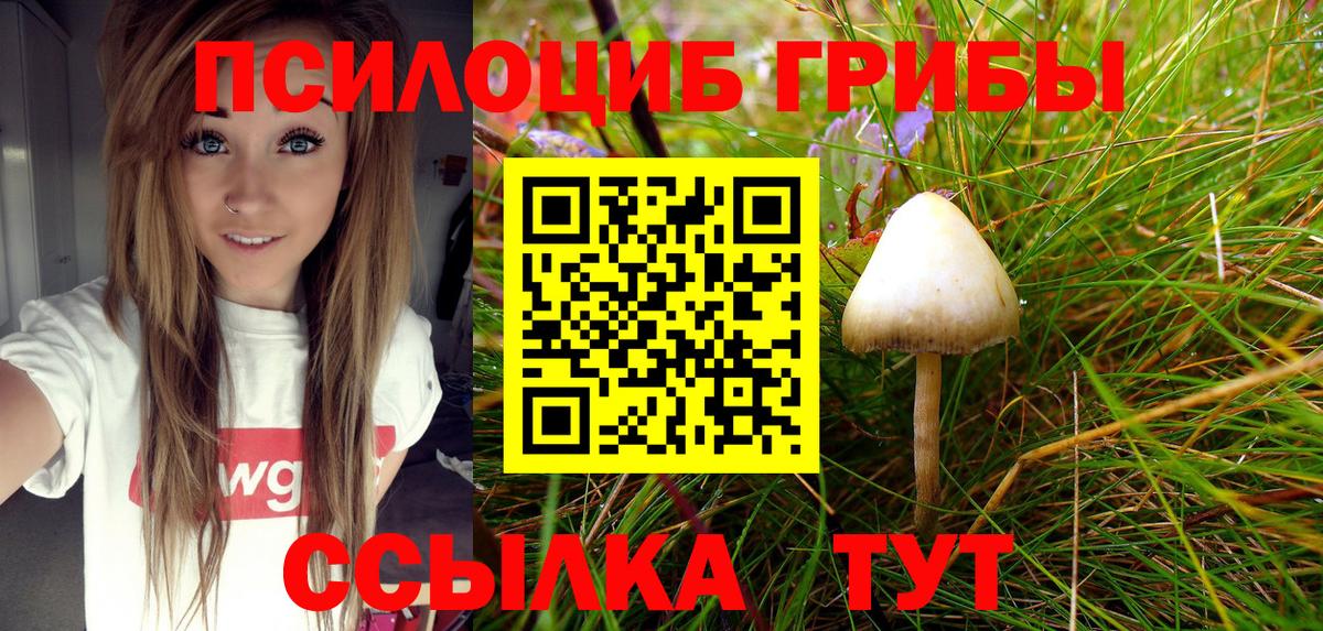 Галлюциногенные грибы Psilocybine cubensis  Вход с VPN  Борисоглебск 