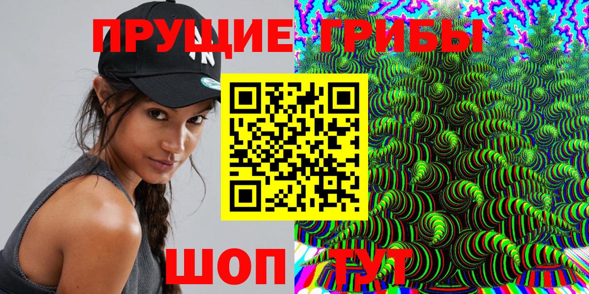 Галлюциногенные грибы Psilocybe Борисоглебск